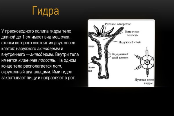 Как восстановить доступ к кракену