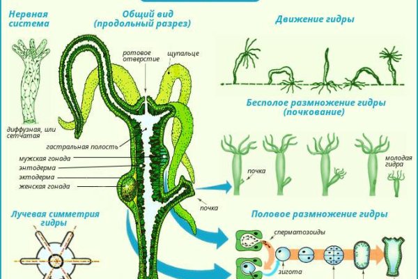 Kraken сайт зеркала krakens15 at