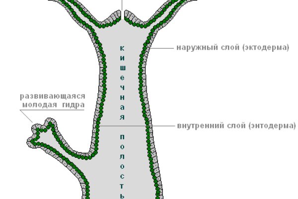 Как вернуть профиль в кракене