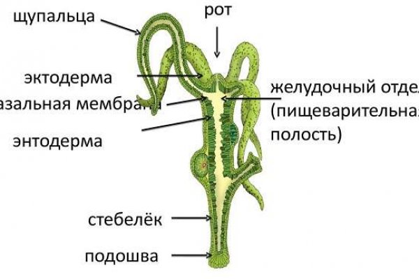 Кракен сайт купить наркотики