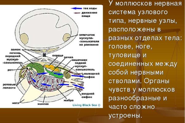 Рабочие ссылки и зеркала кракен